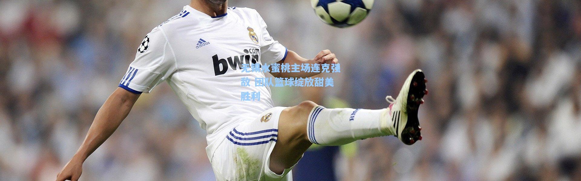 彩客网官网首页|无锡水蜜桃主场连克强敌 团队篮球绽放甜美胜利