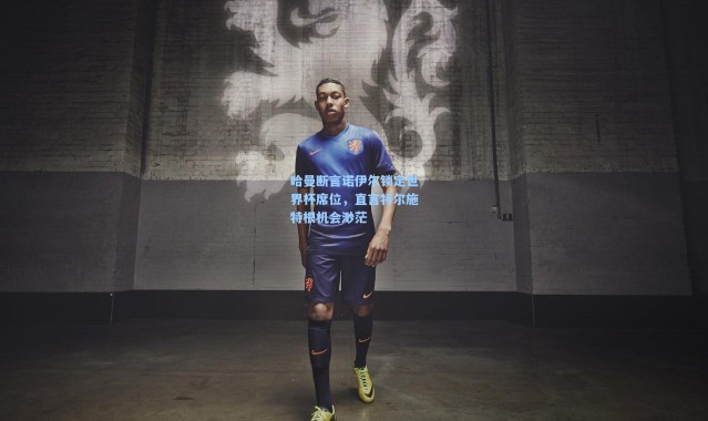 彩客网官网登录_哈曼断言诺伊尔锁定世界杯席位，直言特尔施特根机会渺茫