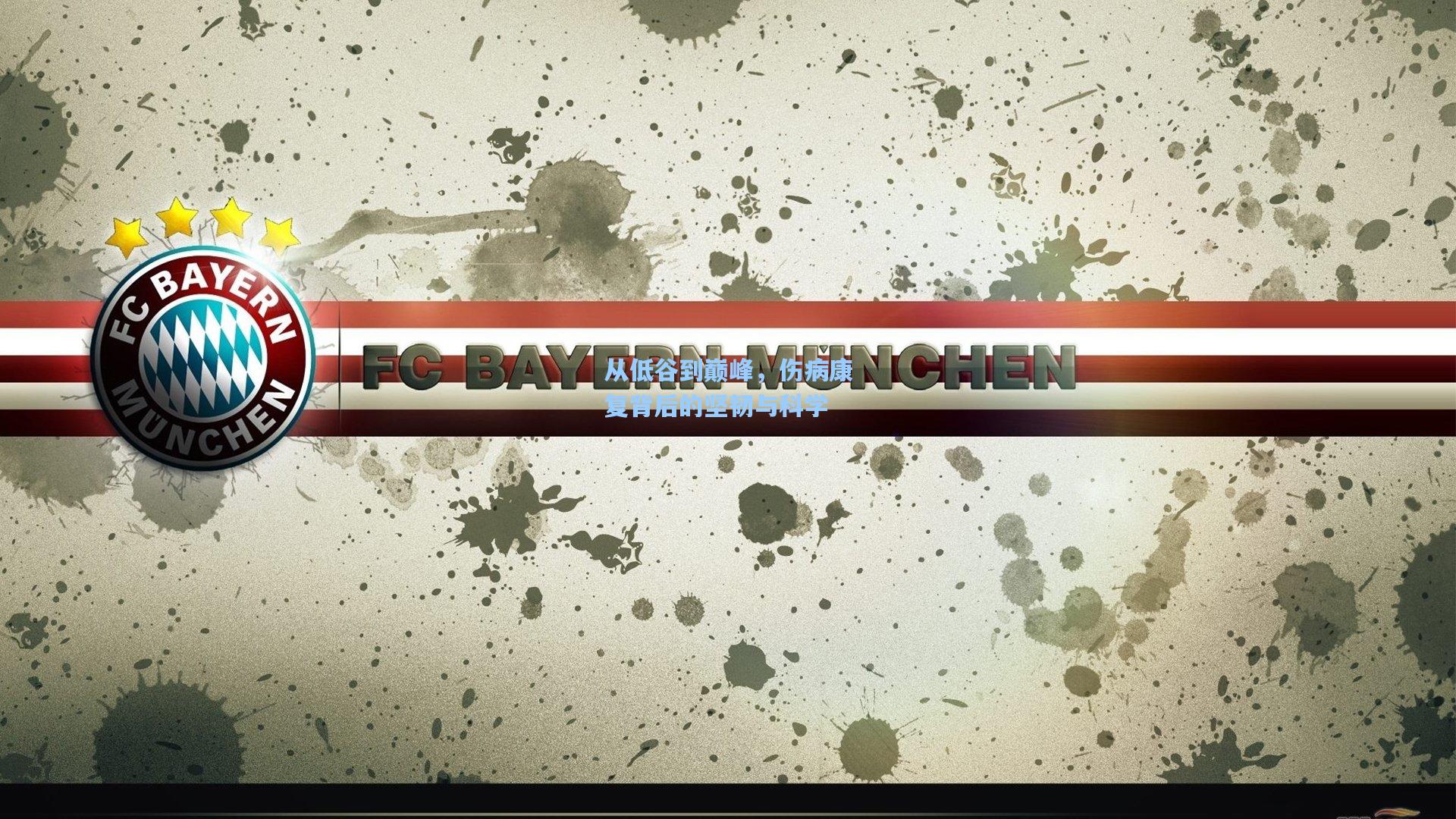 从低谷到巅峰，伤病康复背后的坚韧与科学